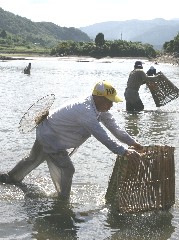 表紙写真：大堤池のうぐい突き　気高町睦逢（2007年10月6日）