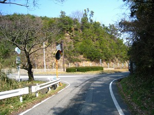 県道