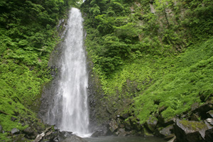 雨滝