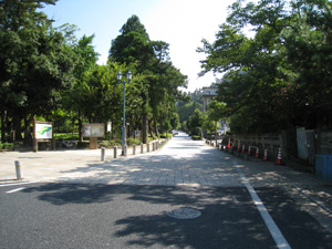 写真でつづる 鳥取の美景 第7回 久松山 きゅうしょうざん 鳥取市