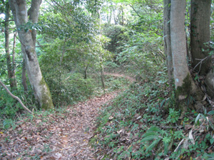 久松山方面登山道