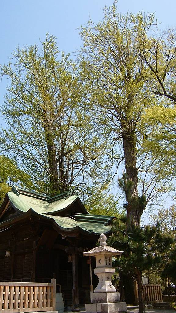 聖神社