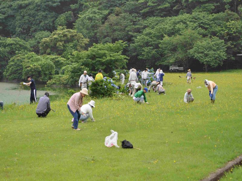 湖山池を守る会　美化活動3