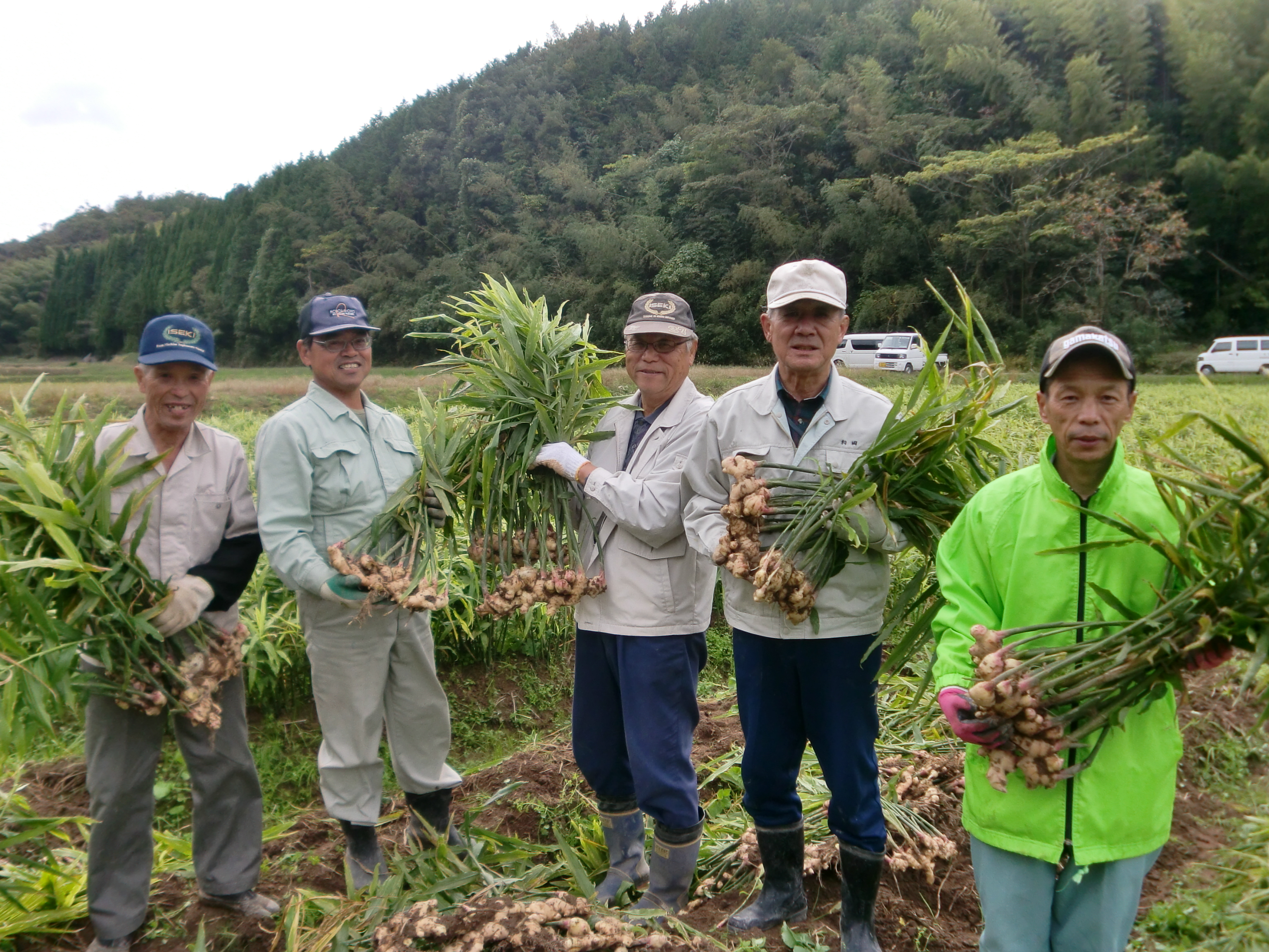 日光生姜生産組合員