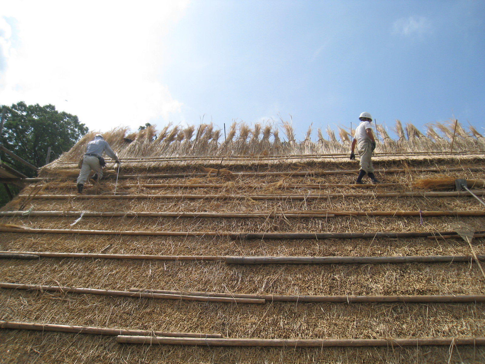 茅葺屋根の修理（重要文化財福田家住宅）