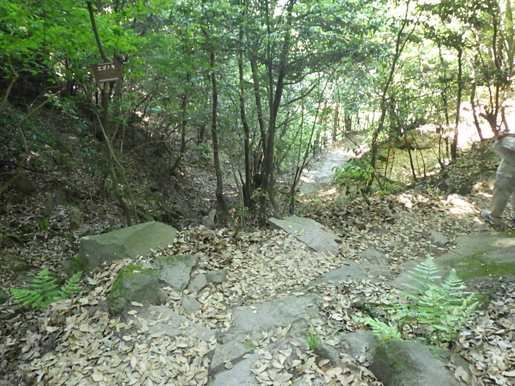 久松山登山道について 鳥取市