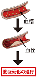 図：血管の様子