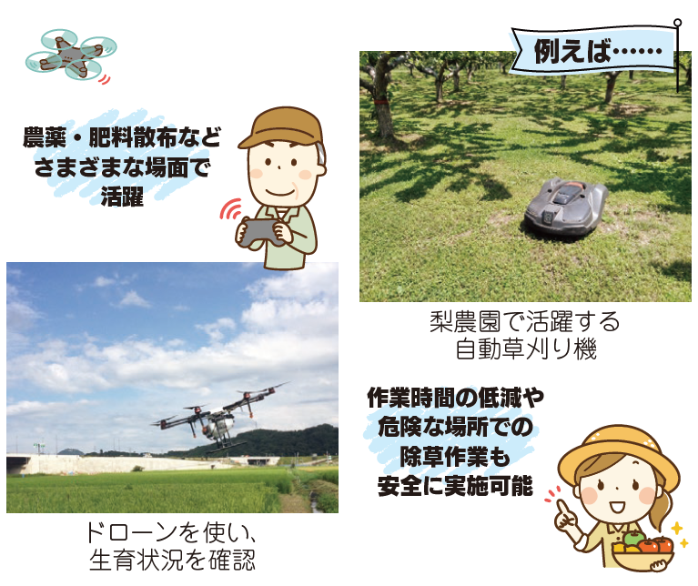 写真：事例紹介