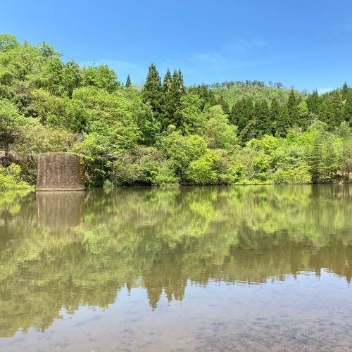 鳥取の新緑の撮影スポット、美歎（みたに）水源地
