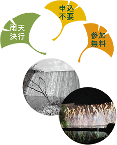 雨天決行　申込不要　参加無料