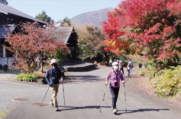 写真:昨年の様子