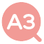 A3