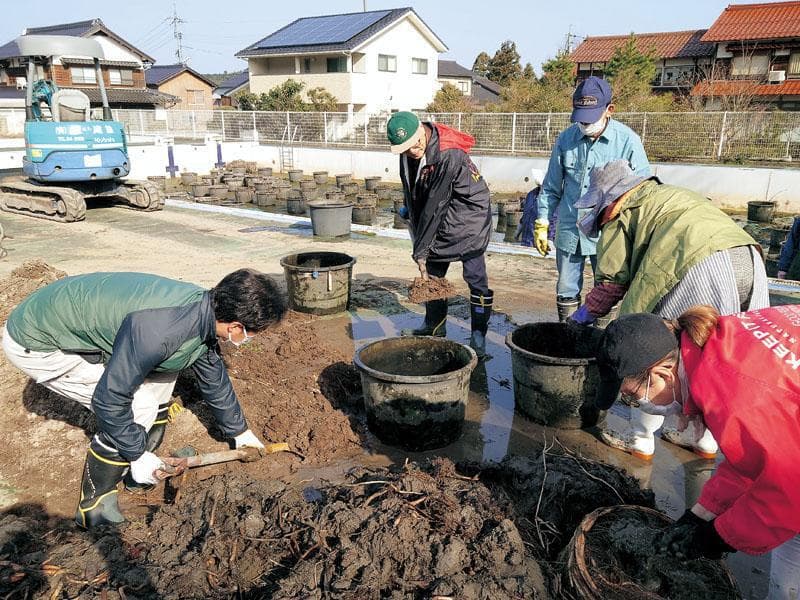 3月｜植え替え作業