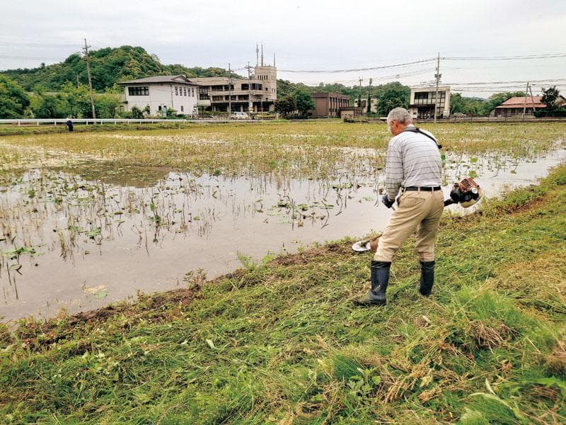 5・６月｜除草作業など