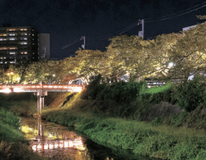 鳥取城跡ライトアップ1