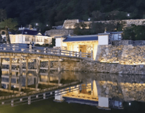 鳥取城跡ライトアップ