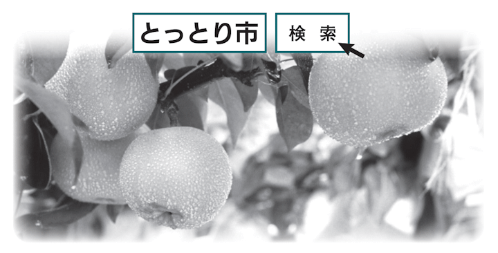 検索で「とっとり市」