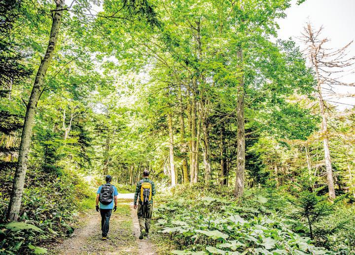 ロングトレイル