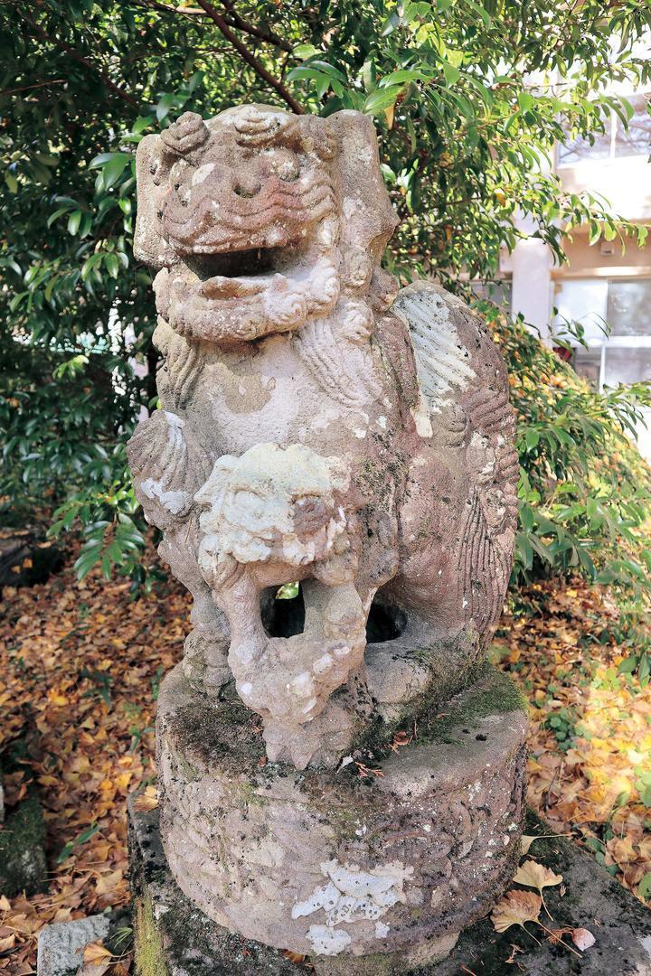 紙屋神社狛犬【あ形】