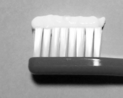 高齢者歯磨きの付け方