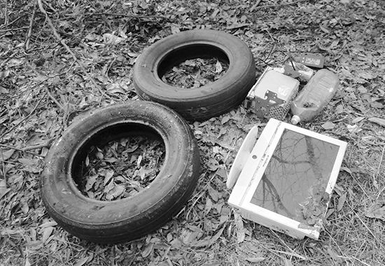 ごみの不法投棄