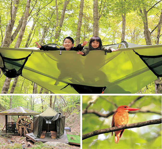 八東ふる里の森の様子