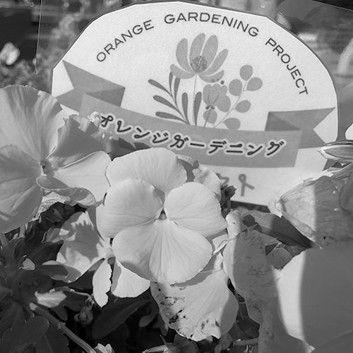 オレンジ色の花