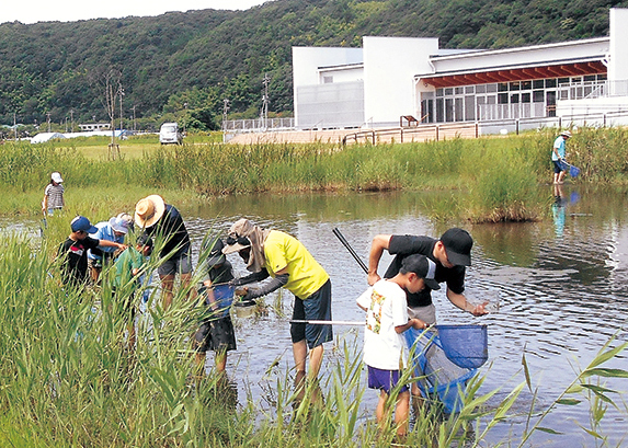 青谷かみじち史跡公園 水中生物を探している様子