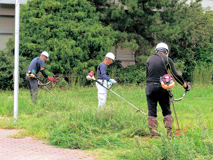草刈り作業の様子