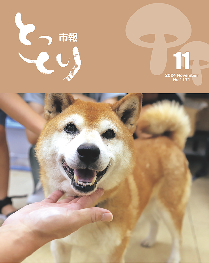 表紙