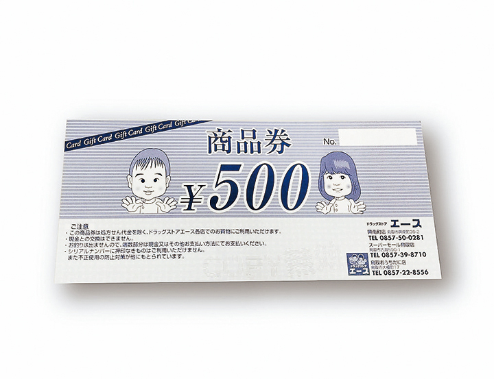 ドラッグストアエース お買い物商品券500円分