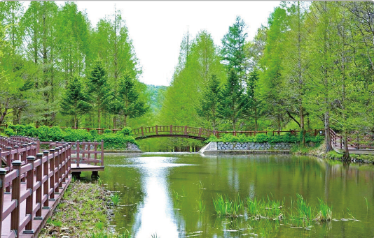 米東山(ミドンサン)樹木園
