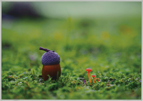 「小さな世界の、大きな出合い。」 岸本康子(きしもと やすこ)