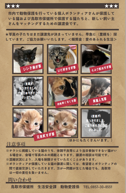 本物の 5/25(日)☆第二回保護猫譲渡会を開催します！ ｜鳥取（とっとり キャットタワー