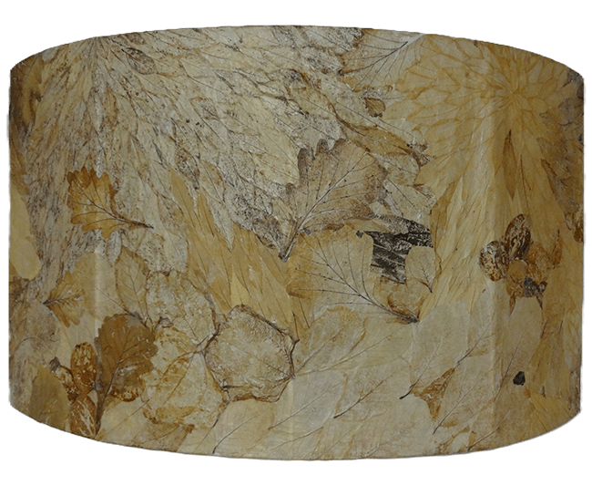 五角形壁掛け戸棚の押し花ランプシェード