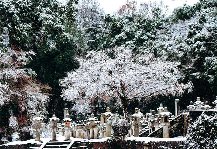 写真部門 最優秀賞 「化粧」村川節秀さん